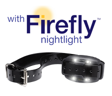 DogWatch BigLeash Receiver Collar with Firefly Nightlight 