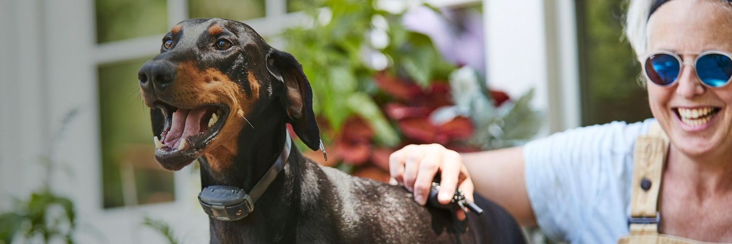 Wichita Hidden Fence, Wichita, KS | Remote Dog Training Collars Slider Image