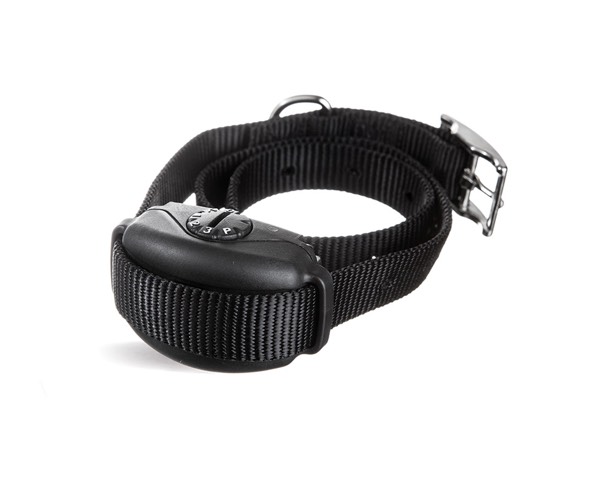 dw-dealer-prod-new-sidewalker DogWatch of Wichita Hidden Fence, Wichita, KS | SideWalker Leash Trainer Product Image