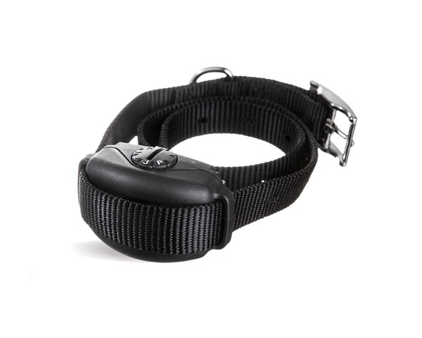 Wichita Hidden Fence, Wichita, KS | SideWalker Leash Trainer Product Image